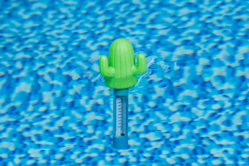 Термометр-игрушка для измерения температуры воды в бассейне (Bestway 58763 BW)