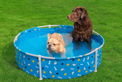 Каркасный бассейн для домашних животных 122х30,5 см Bestway Fetchin' Fun Pet Play Pool (561KM BW)