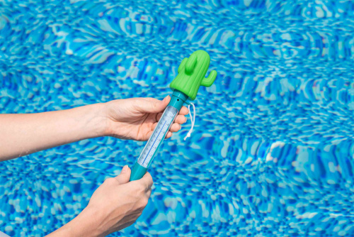 Термометр-игрушка для измерения температуры воды в бассейне (Bestway 58763 BW)