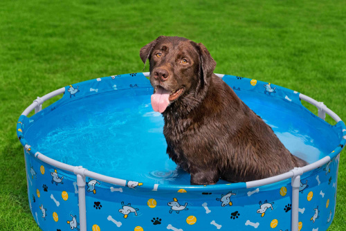 Каркасный бассейн для домашних животных 122х30,5 см Bestway Fetchin' Fun Pet Play Pool (561KM BW)