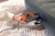 Надувной матрас Tritech 203x152x25 см (Bestway 6713N BW) Надувной матрас Tritech 203x152x25 см (Bestway 6713N BW)