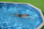 Стальной бассейн Bestway Hydrium Oval Pool 610х360х120 см + песочный ф/насос 5678 л/ч, лестница, тент, подстилка (56369 BW) Стальной бассейн Bestway Hydrium Oval Pool 610х360х120 см + песочный ф/насос 5678 л/ч, лестница, тент, подстилка (56369 BW)