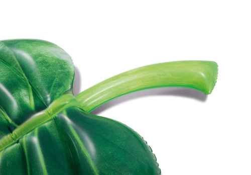 Надувной плотик "Пальмовый лист" 213х142 см (Intex 58782)