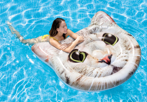 Надувной плотик "Кот" 147х135 см (Intex 58784)