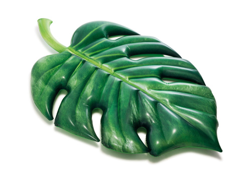 Надувной плотик "Пальмовый лист" 213х142 см (Intex 58782)