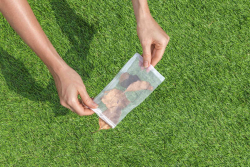 Набор для чистки бассейна (сачок, вакуумная насадка с мешком, ручка 167 см) (Bestway 58013 BW)