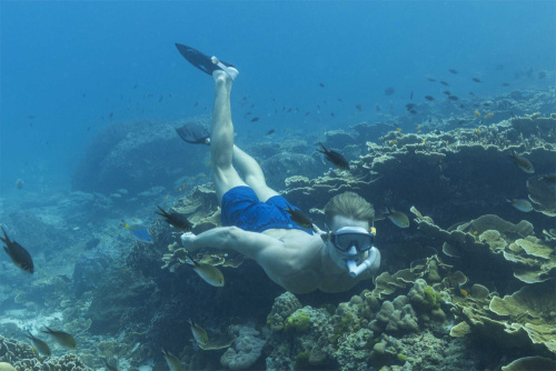 Набор для плавания "Meridian Snorkel", от 14 лет (Bestway 25020 BW)