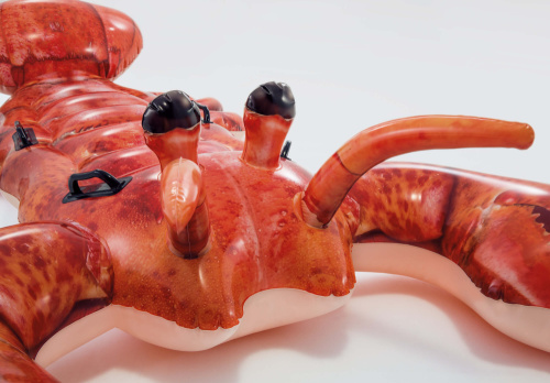 Надувная игрушка-наездник 213х137 см "Лобстер" от 3 лет (Intex 57533)